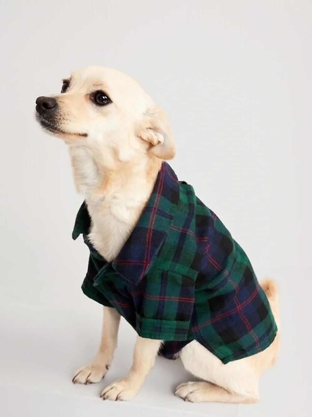 Old Navy Flannel Plaid Dog Shirt in‎ Green and Navy Size Large